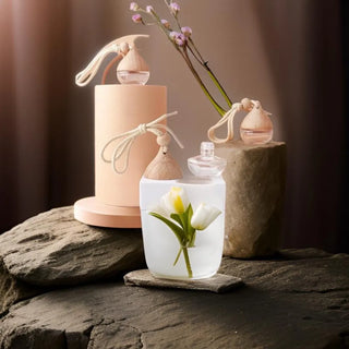 Best car diffuser perfume fresh long lasting scent