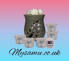 mysamu.co.uk Fragrance wax melts candy FC-121 UNISEX PERFUME INSPIRED BY FÈVE DÉLICIEUSE