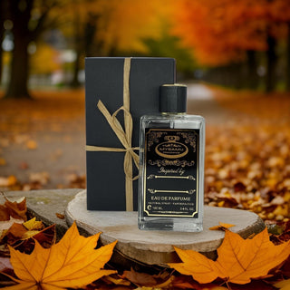 Smooth powdery amber perfume long lasting